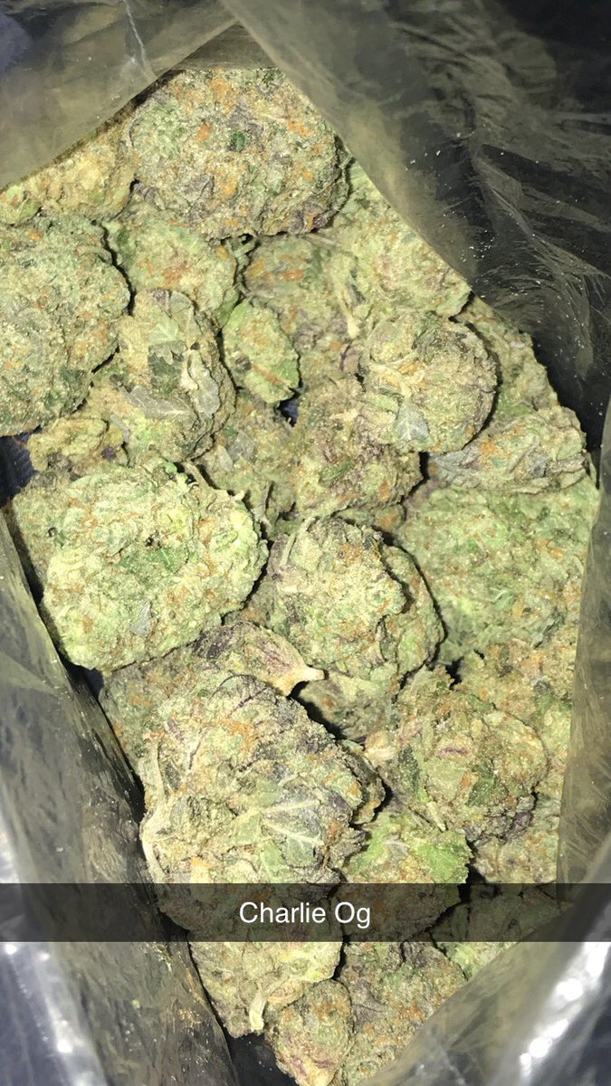 BestPlugInVegas's tweet photo. They be asking where the gas at, I be runnin thru that 🤷🏾‍♂️ #ShopFast https://t.co/7t69RxSu7U