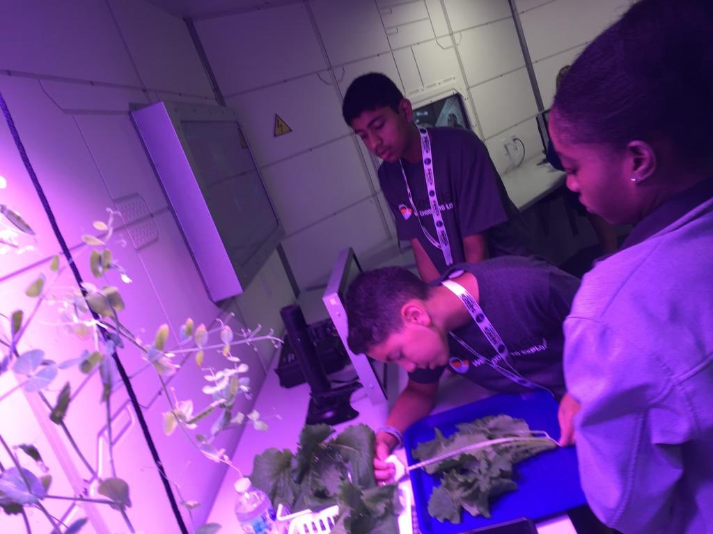 ciambrello's tweet photo. Mars agriculture 🌱 Harvesting micro greens and collecting plant health data before they feed the hungry crew 🍴#dhawildcatpride https://t.co/zDhNijeNFX