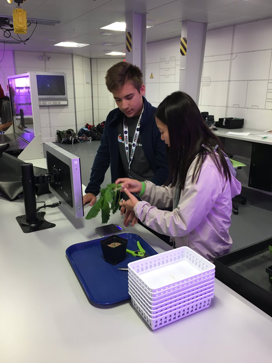 ciambrello's tweet photo. Mars agriculture 🌱 Harvesting micro greens and collecting plant health data before they feed the hungry crew 🍴#dhawildcatpride https://t.co/zDhNijeNFX