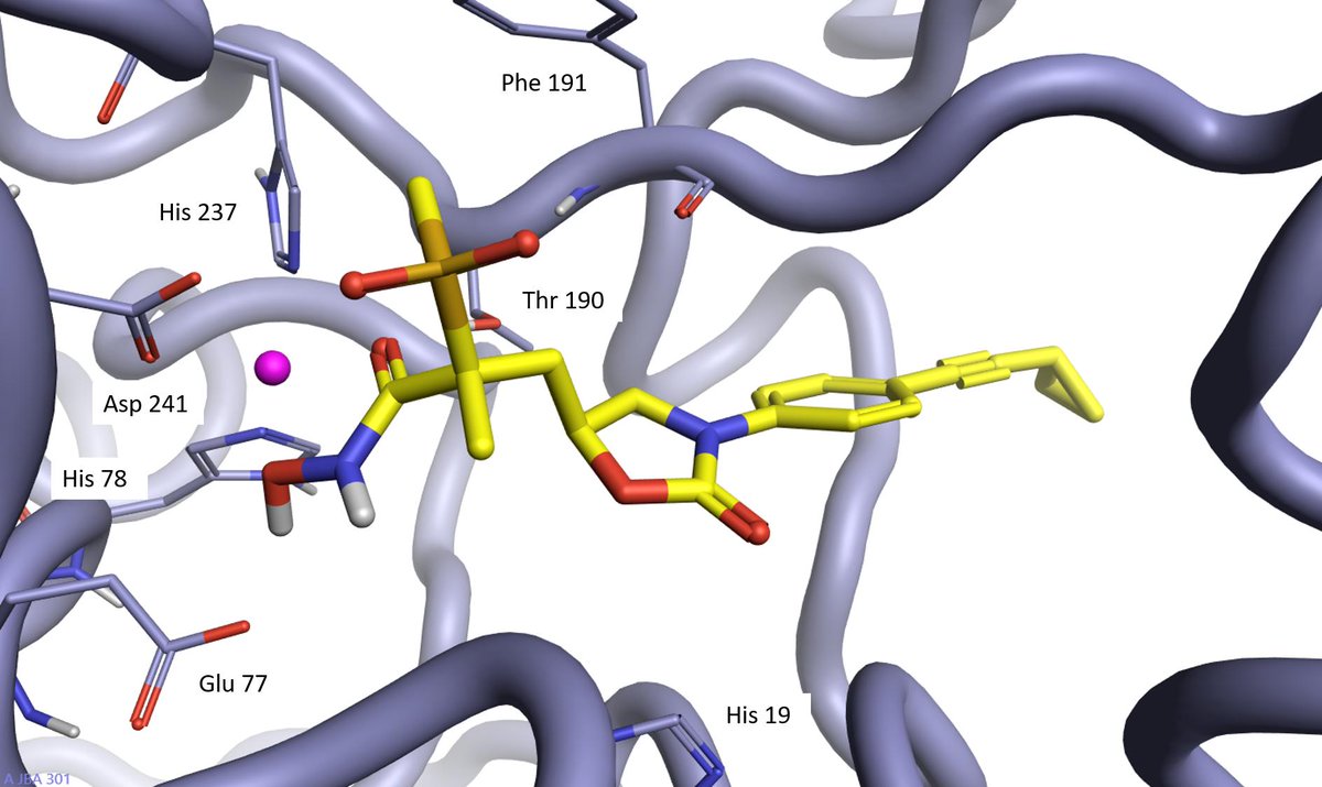 cressetgroup's tweet photo. Review of Novartis paper demonstrating how a traditional #scaffoldhopping experiment, using Spark, led to the identification of novel oxazolidinone and isoxazoline LpxC inhibitors active on Gram negative bacteria

https://t.co/LMLXA7w95T

#CompChem #DrugDisccovery https://t.co/OIOlffJPPJ