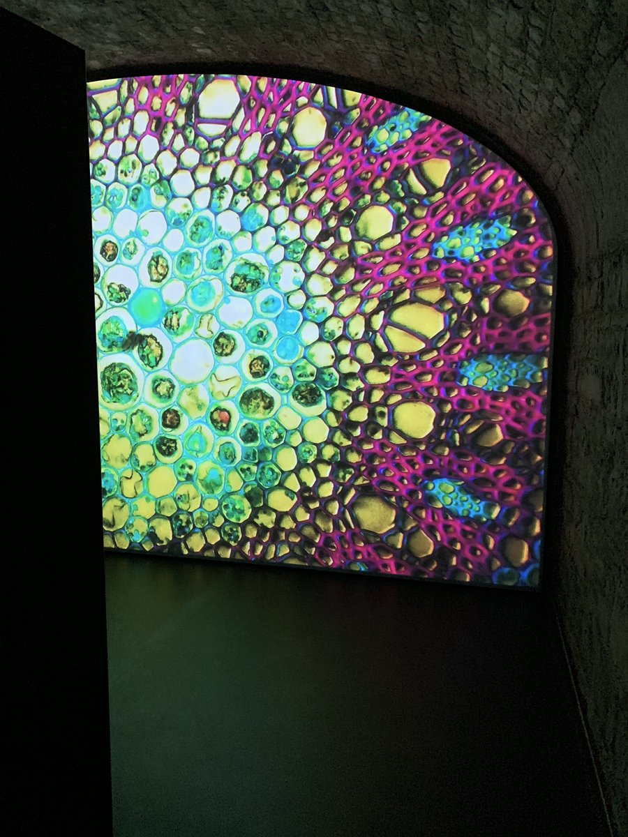 juli0810's tweet photo. Amazing experience at the #EPICMuseum in Dublin, Ireland https://t.co/BsjtUzvgpr