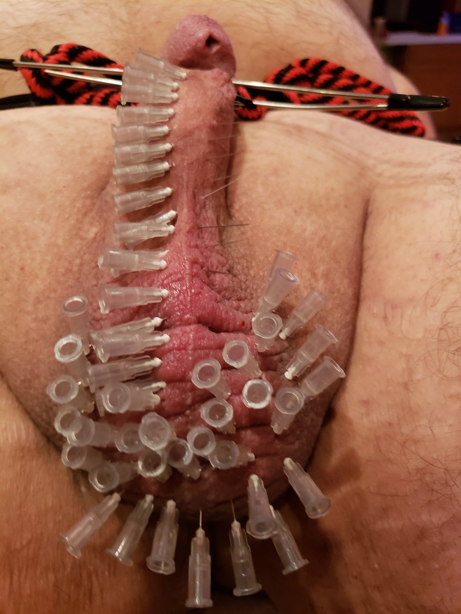 chicagomistress's tweet photo. I love playing with my pincushion and sharing our mutual fetishes. We may not get to play as often as like but when we do its intense ,powerful and creative. #cbt #needles #estim #electricsound #chicagodomme #chicagobdsm #chicagomistress https://t.co/k8mKv9NxPI