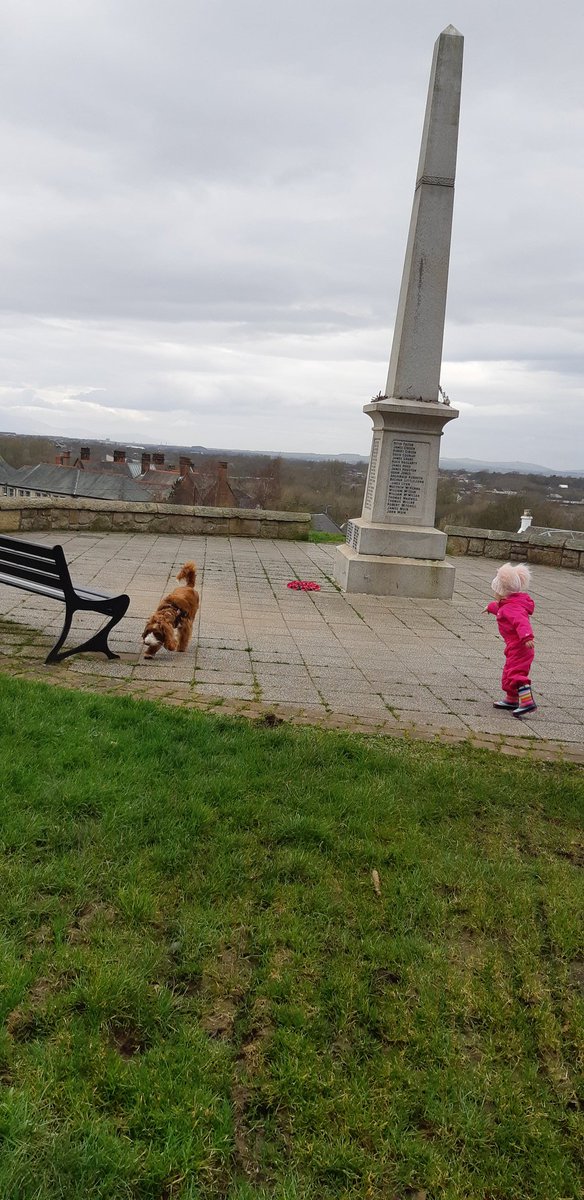 logansteven's tweet photo. Away from the madness of #ToryAusterityBritain #BrexitShambles
#MadnessOfQueenMay ..#LastDaysOfMay Out a walk in sunny #Ayrshire with grandaughter and dog what life is really all about. #ThingsThatMatter https://t.co/4dju4HJNeA