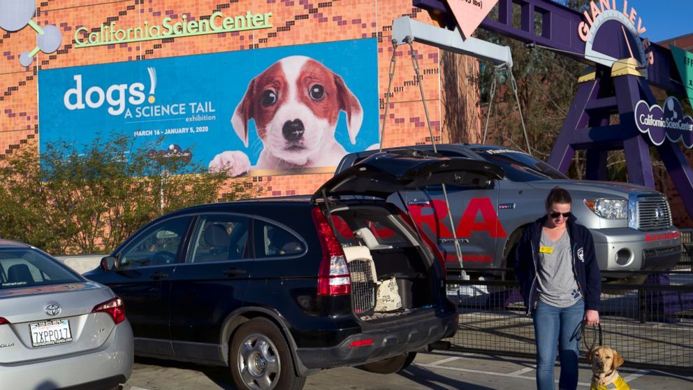 BringFido's tweet image. Ever wonder why humans and dogs get along so well? This California science exhibit attempts to explain it! #mansbestfriend #scienceexhibit #dogs  buff.ly/2FuRJPk