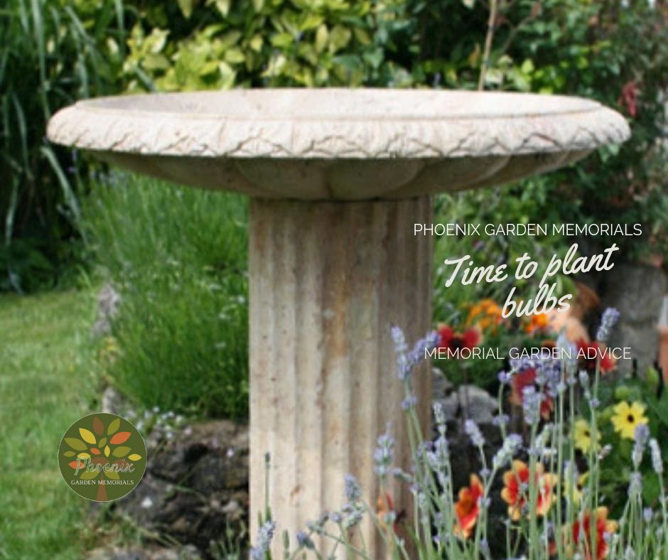 #WednesdayWisdom #WednesdayMotivation #wednesdaythoughts #Wednesday Time to plant bulbs for summer blooms in your Memorial Garden