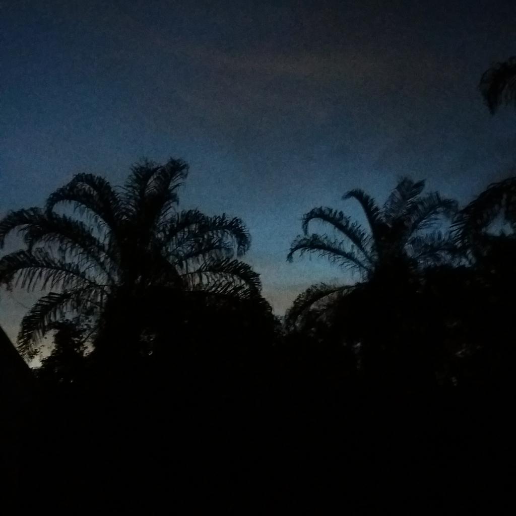 So today ends with simulating some "poaching" and finishing my second group of tortoises! It's now starting to become second nature somewhat! Although, I'm sure wild releases of tortoises next week will shake things up! <a href="/MovingAnimals/">SLAM</a> @swanscience <a href="/SwanBioMRes/">MRes Biosciences, Swansea University</a> #marineoutofwater