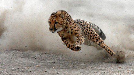 corpusoptima's tweet photo. Why Be Ordinary When You Can Be Super? - https://t.co/oTCqmxXmes https://t.co/tDmYBNIGEy