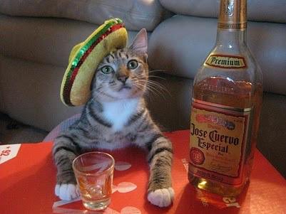 BanditoSupremo's tweet photo. Game Day #🌮💀 #💩. @hoogieburner @daveoutofshape @DHolmes111 @senorbanero @mmesawatsky @MartinolichR   @fcole844 @originalbandito https://t.co/PTnJQOptp9
