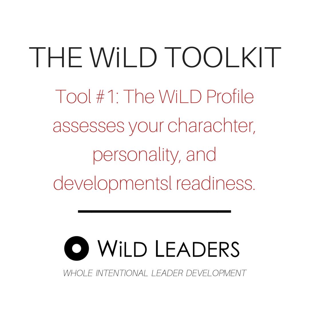 WiLDLeadersInc's tweet photo. To start using the WiLD Toolkit with leaders and teams in your context, visit https://t.co/ndVmlDvMVq or email us at contact@wildleaders.org 
#wildleaders https://t.co/WVXp4RlLMN