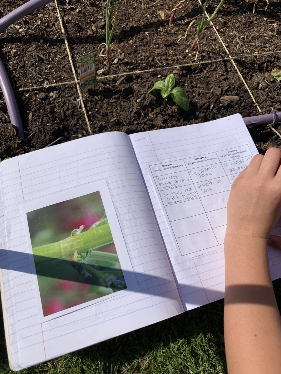 ForoodiLearns's tweet photo. Exploring structure and function in the @TCEgarden today! #TCE4th #75019science https://t.co/QxfUBRK2rC