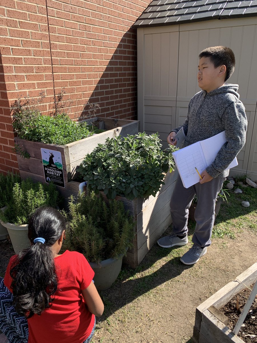 ForoodiLearns's tweet photo. Exploring structure and function in the @TCEgarden today! #TCE4th #75019science https://t.co/QxfUBRK2rC