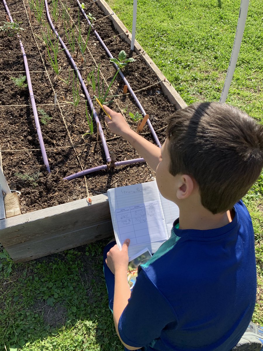ForoodiLearns's tweet photo. Exploring structure and function in the @TCEgarden today! #TCE4th #75019science https://t.co/QxfUBRK2rC