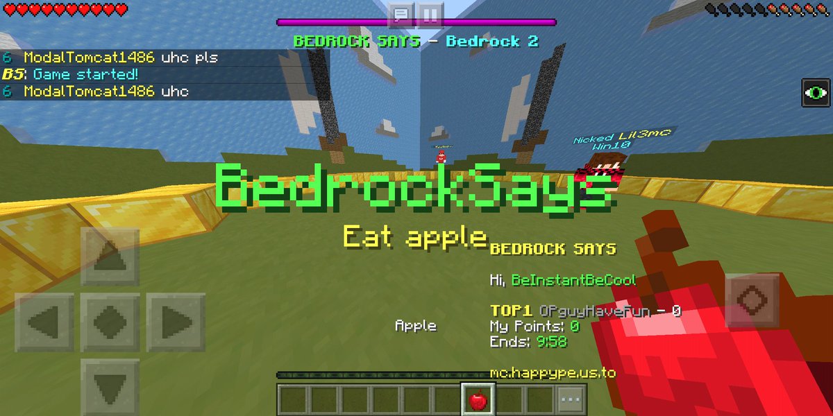 HappyBedrock's tweet image. 