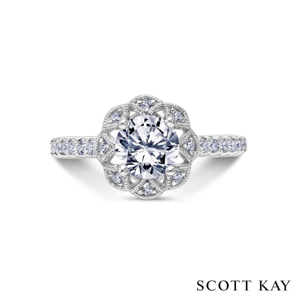 Scott Kay tweet media