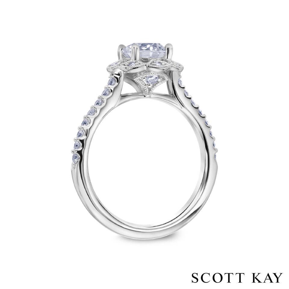 Scott Kay tweet media