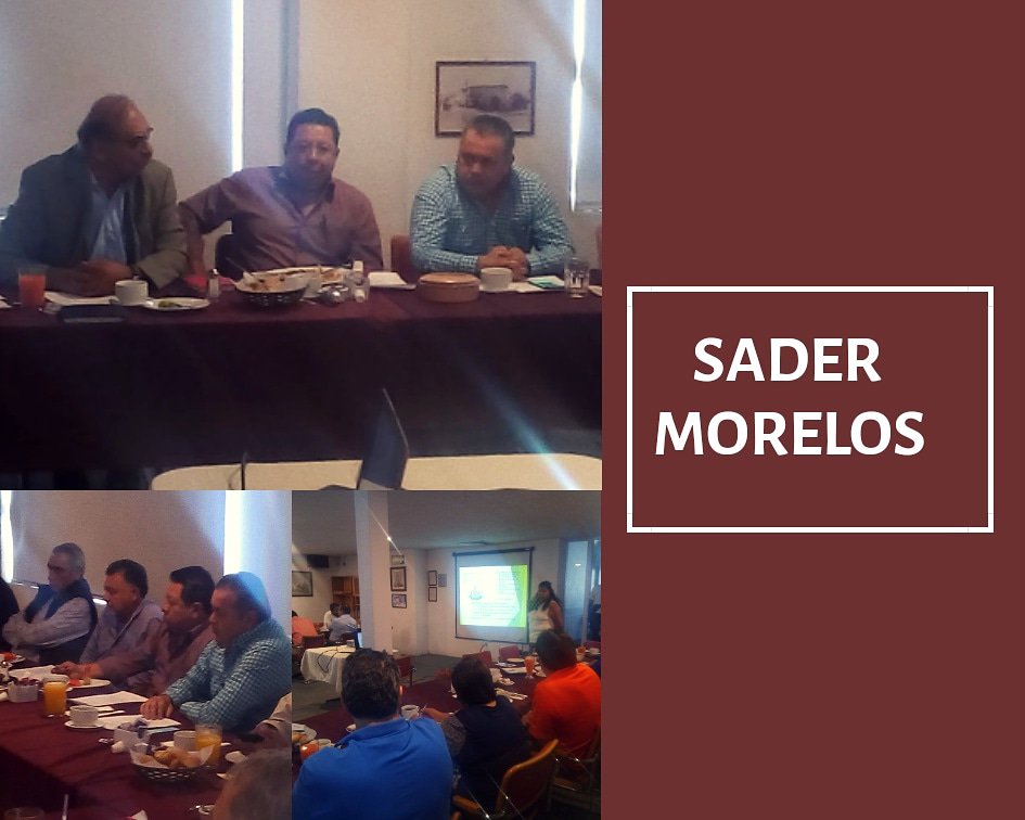 Con el objetivo de atender las necesidades de los avicultores en Morelos se lleva a cabo reunión, para tratar los temas de sanidad, inocuidad, movilización y seguridad.
Participan
Srio. Ing. Guillermo López Ruvalcaba
Dip. Ing. José Luis Galindo 
Sub. Ing. José Luis Arizmendi