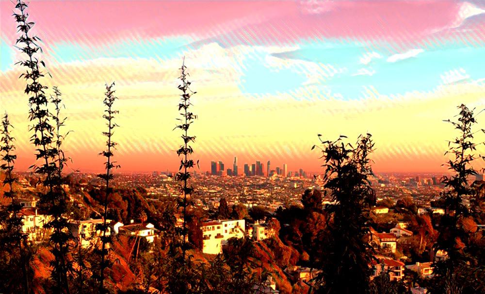 TheTigerCatcher's tweet photo. #TheTIGERCATCHER by Paullina Simons. Out in May.
"Los Angeles, the city of angels, the city of dreams." https://t.co/Z3fM6xVcb3