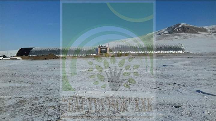 altanchimeg (@altanch02869096) on Twitter photo 