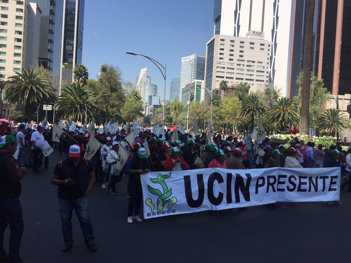 laotraoaxacatv's tweet photo. La unión Campesina e Indígena Nacional #UCIN iniciamos el recorrido de la marcha nacional #Elcampoesdetodos en CDMX rumbo a #Gobernacion. ¡Nadie puede negar nuestra existencia! https://t.co/LmUn0it6QQ
