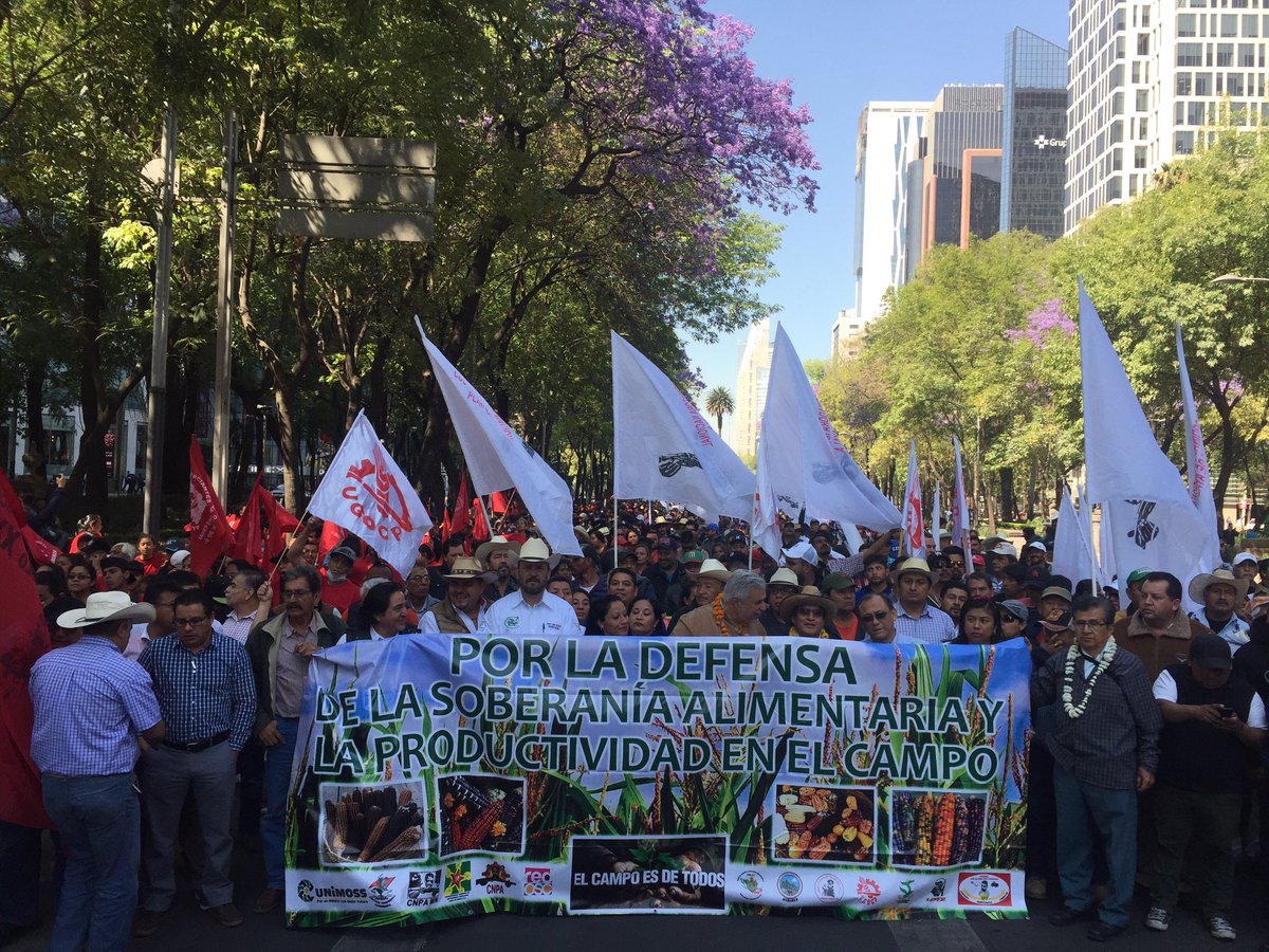 laotraoaxacatv's tweet photo. La unión Campesina e Indígena Nacional #UCIN iniciamos el recorrido de la marcha nacional #Elcampoesdetodos en CDMX rumbo a #Gobernacion. ¡Nadie puede negar nuestra existencia! https://t.co/LmUn0it6QQ