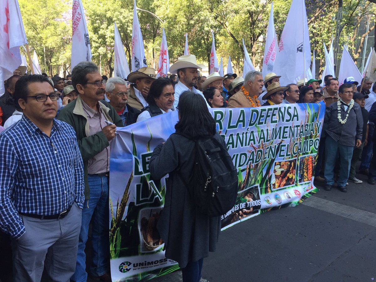 laotraoaxacatv's tweet photo. La unión Campesina e Indígena Nacional #UCIN iniciamos el recorrido de la marcha nacional #Elcampoesdetodos en CDMX rumbo a #Gobernacion. ¡Nadie puede negar nuestra existencia! https://t.co/LmUn0it6QQ