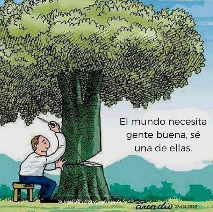 AgrupandoMx's tweet photo. #FelizMiercoles  #FraseDelDia  #Veracruz https://t.co/rGpjmyubrW