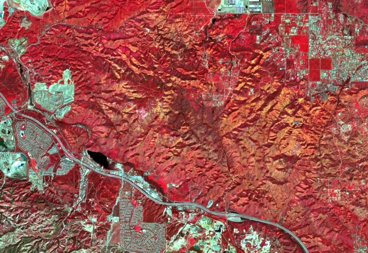 ARSC_UA's tweet image. This #colorinfrared highlights the #wildflowers, appearing here as yellow-orange from surrounding vegetation, which appears bright red.