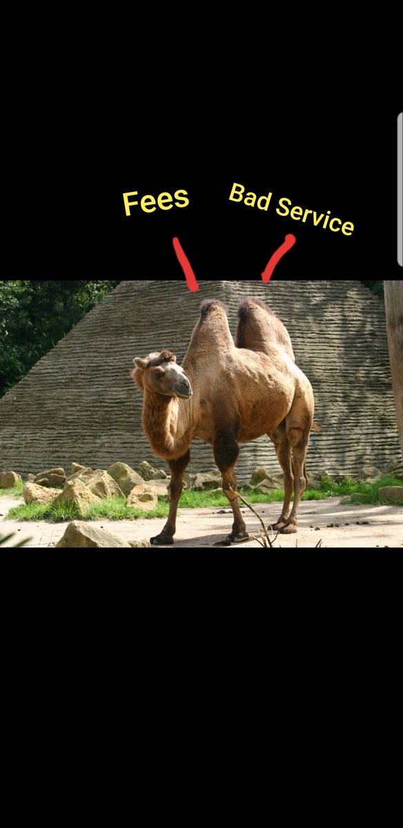 Not BofA Help tweet media