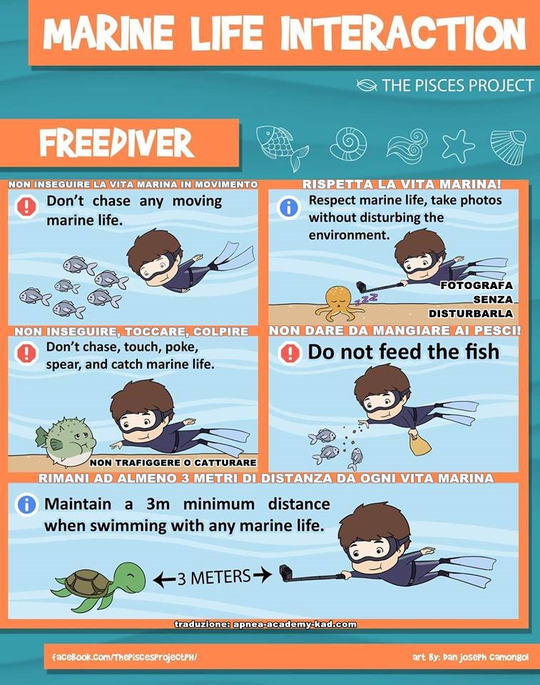 KidsAsDolphins's tweet photo. @ApneaAcademyKAD promuove il rispetto della vita marina 🐙🐳🦐
✅ Ecco alcune buone regole, valide anche per gli adulti

🇬🇧 @ApneaAcademyKAD support respect of #sealife 🐙🐳🦐
✅ Let's teach to kids good rules, also valid for adults

#apnea #freediving
#KidsAsDolphins
#kids #sea https://t.co/t9ZvUcjoFu