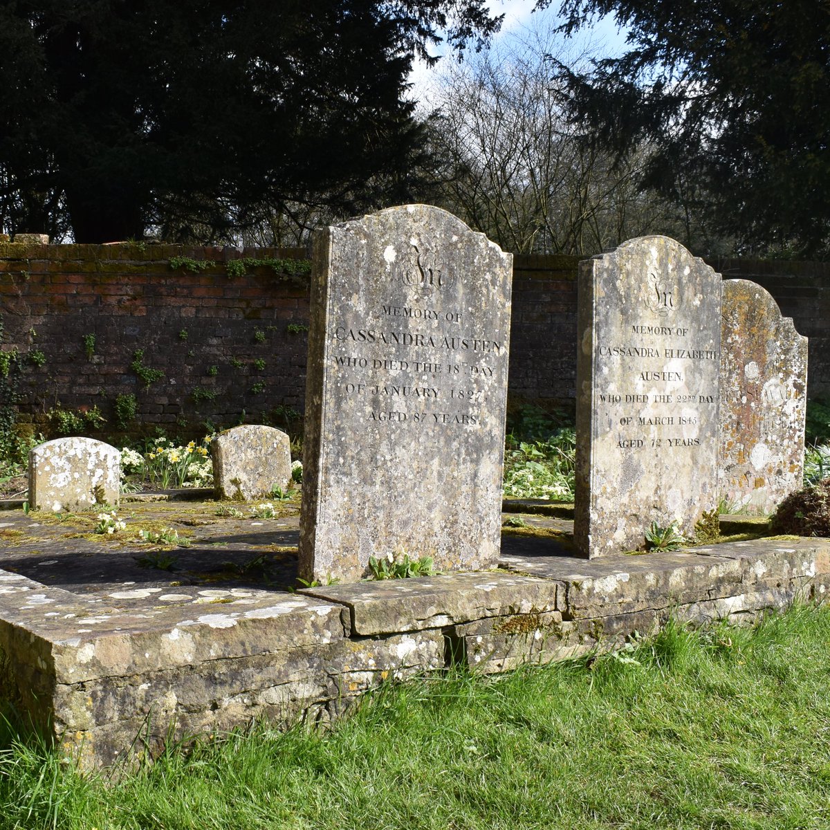 Supported by JASNA Churches Group, a team of volunteers from the Museum and St Nicholas Church tend the graves of Jane Austen’s mother and sister. The plot looked peaceful today in the sunlight, covered in a spray of primroses.