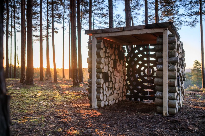 Check out this new sculpture that's hidden in Farnham's Nature Reserve!
essentialsurrey.co.uk/lifestyle/have…