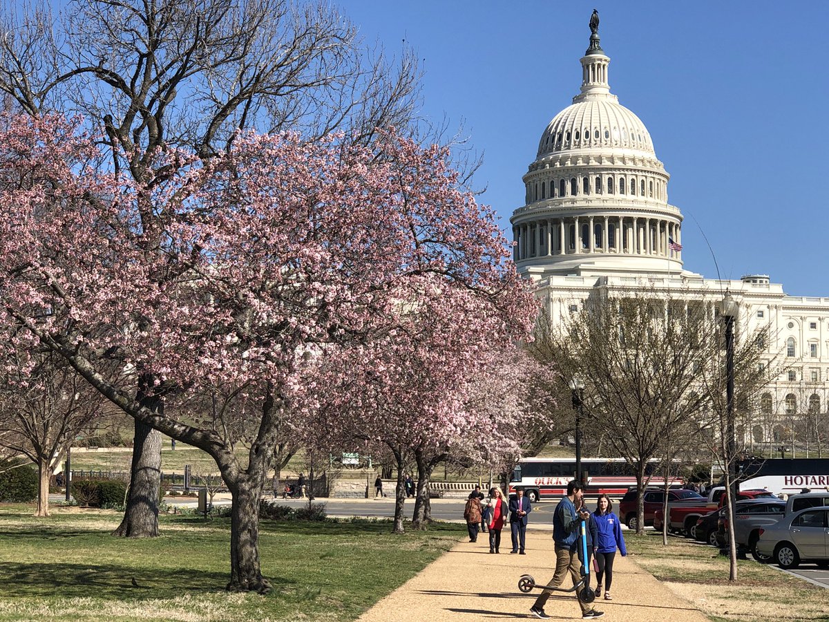 Accio Data tweet media