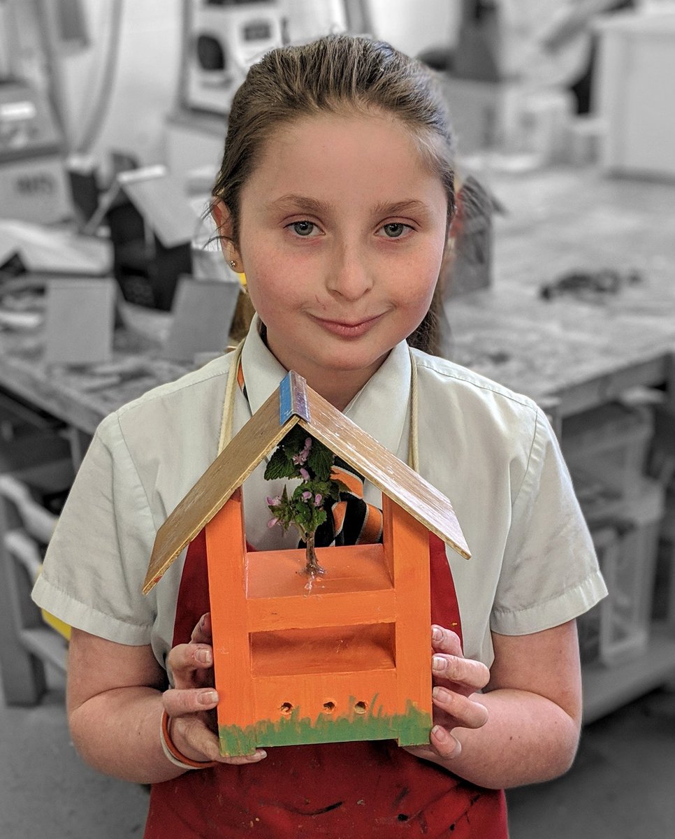 Enterprise_TA's tweet image. Wonderfully original customisation from Shannon who has done a great job on her Year 7 #BugBox project in D&amp;amp;T! Painted in her Harrison house tie colours too!
Lucky bugs!! 🦗🐛🐞🕷️