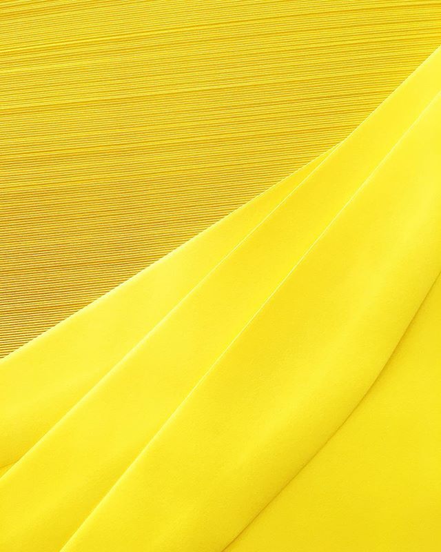 palmerstpress's tweet photo. Fact: Receiving massive shipments of yellow envelopes is a sure sign of spring. It’s like groundhog day but without the lying and deceit of the groundhogs. #spring #yellow https://t.co/L7XexHs4g7