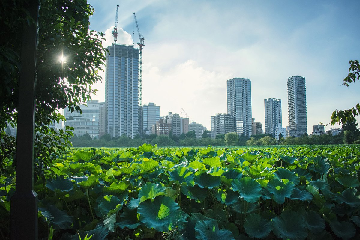 KhElAshry's tweet photo. FosterPartners: Steven Hutt, Norman Foster Foundation RIBA Travelling Scholarship winner 2018 – will be speaking to #FosterandPartners about his research project in east Asia on 28 March. 
Here are some snapshots from his travels 📸🗺️
Images © Steven … https://t.co/1FbV0Pcvhh