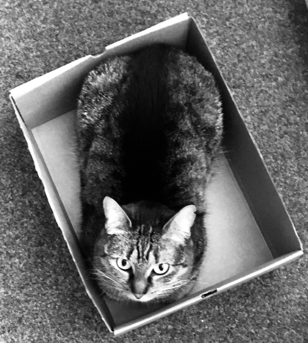 Díky za milý vzkazy, motivovaly mě k tomuhle poslednímu tweetu. Vrátila jsem se jen na pár hodin, chtěla jsem doporučit Zakázané přání.
Nenechte si nic zakazovat, přejte si cokoliv a přejte i ostatním. Tři přání jsem řekla, eště tu Růženku v krabici a mizím (jako džin do lampy).