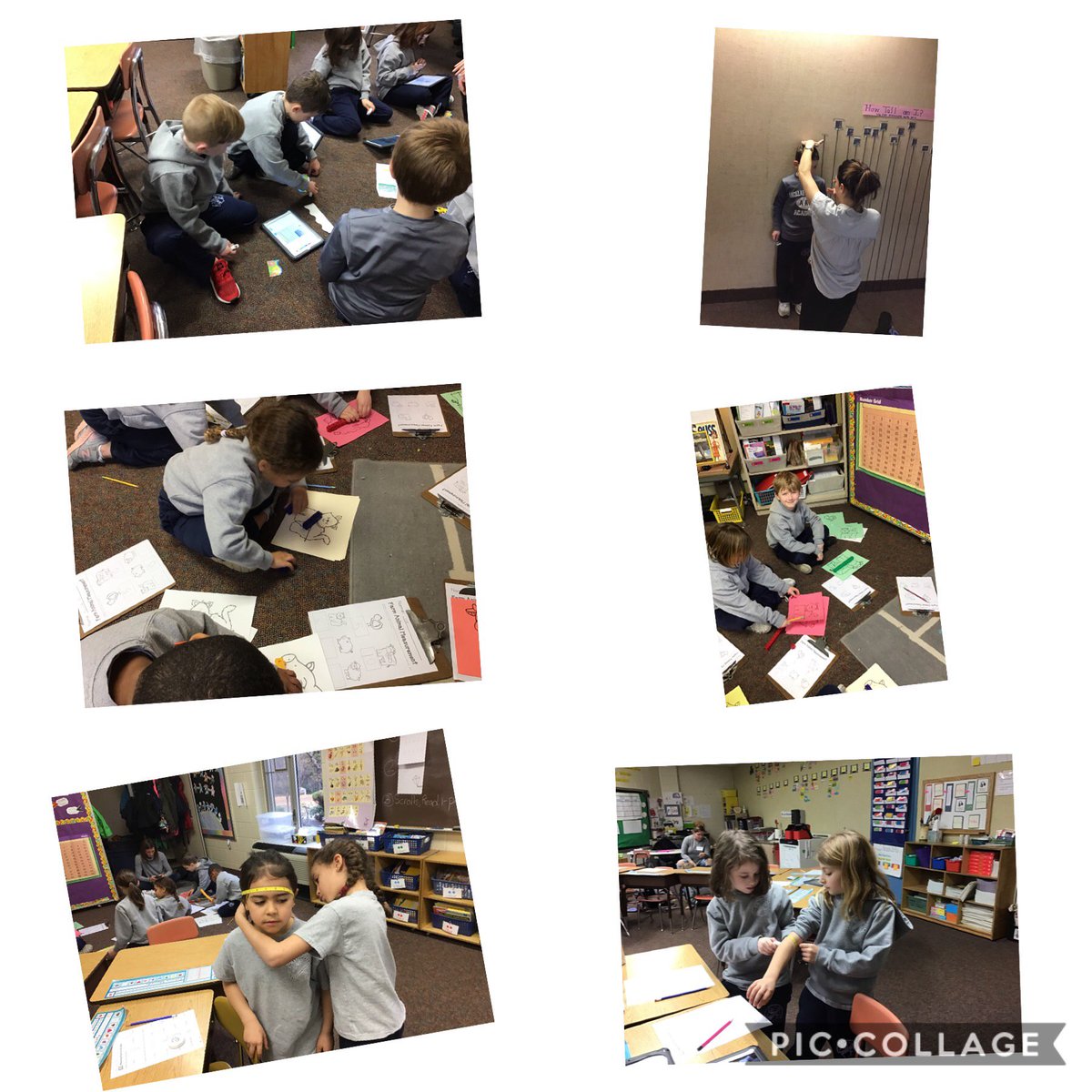 ancillaemath's tweet photo. @AncillaeAssumpt First grade students spent the morning practicing their measuring skills using both standard and nonstandard units. So much fun is happening in first grade!#journeyingtogetheraaa https://t.co/xFS2nJP5g3