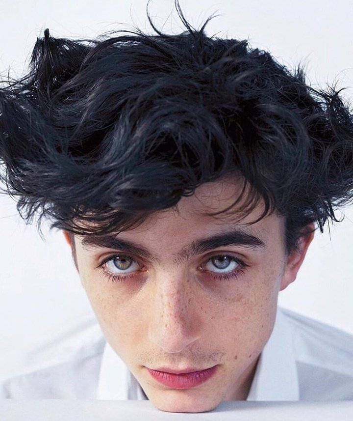 Hair review for Thimothèe chalamet 💈✂️ #hairreview #hairstyle #hairtu... |  Hairstyle | TikTok