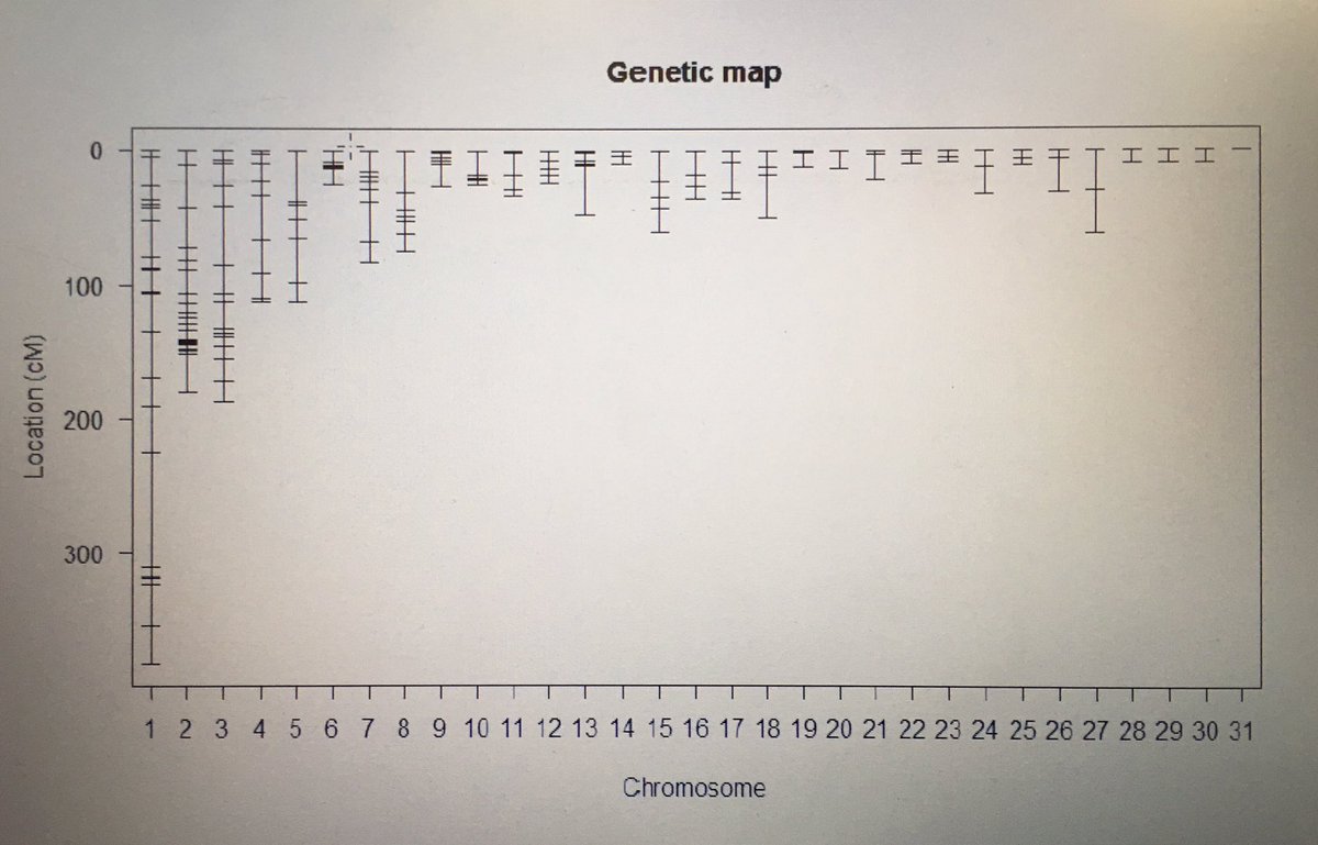 ekte_Toby's tweet photo. Morning: learning how to make genetic maps and QTL mapping. Afternoon: deciphering a field map. #wheat #PdDlife #cartography https://t.co/yRpSfCY7Nz