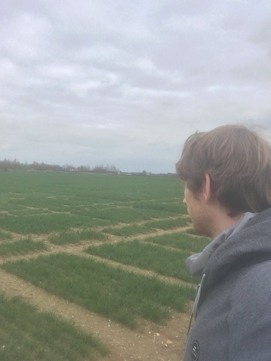 ekte_Toby's tweet photo. Morning: learning how to make genetic maps and QTL mapping. Afternoon: deciphering a field map. #wheat #PdDlife #cartography https://t.co/yRpSfCY7Nz