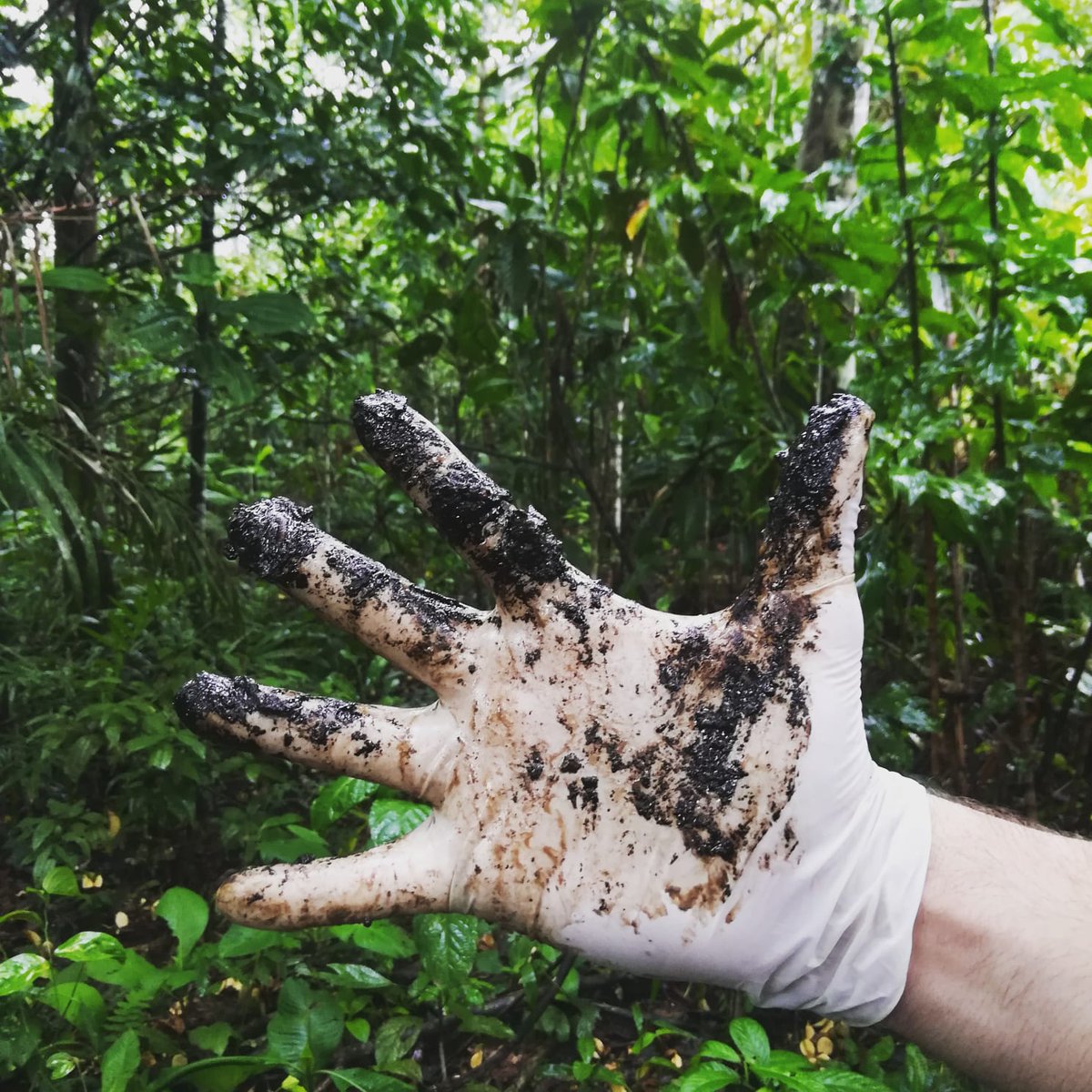udapt_oficial's tweet photo. 16 mil millones de galones de residuos #toxicos descargados
17 milliones de galones de #petroleo crudo derramado
$ 9.5 mil millones a las #victimas

16 billion gallons of #toxic #waste dumped
17 million gallons of crude #oil spilled
$9.5 billion awarded to victims https://t.co/iYeGkGJd0w