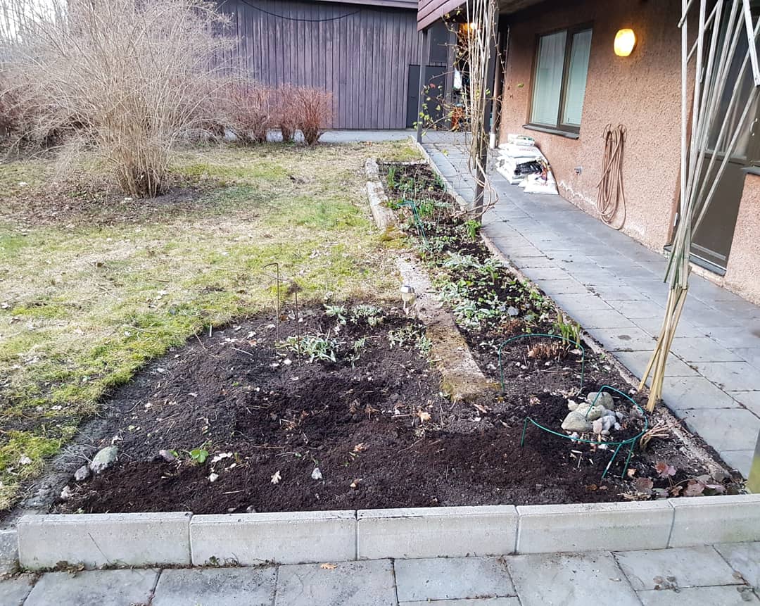 AnnaFlodellLind's tweet photo. En skön eftermiddag i solen som började med en bok och en kopp te och slutade med att största rabatten var rensad och gödslad. Som vanligt slutade jag inte när jag kände att jag borde, ville ju bli klar. Fan. #trött #ont #jävlafibromyalgi https://t.co/WO5yy7ScJm