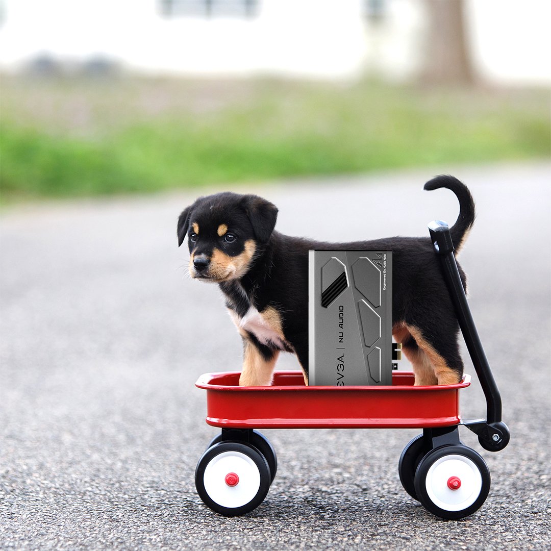 TEAMEVGA's tweet image. Happy #LittleRedWagonDay A day to make memories &amp;amp; celebrate the power of imagination w/ a best friend, some tunes via the EVGA NU Audio and a #LittleRedWagon to transport both!  

Enter the @microcenter &amp;amp; EVGA NU Audio Giveaway here: gleam.io/OFS3V/microcen…

#LifeLikeAudio