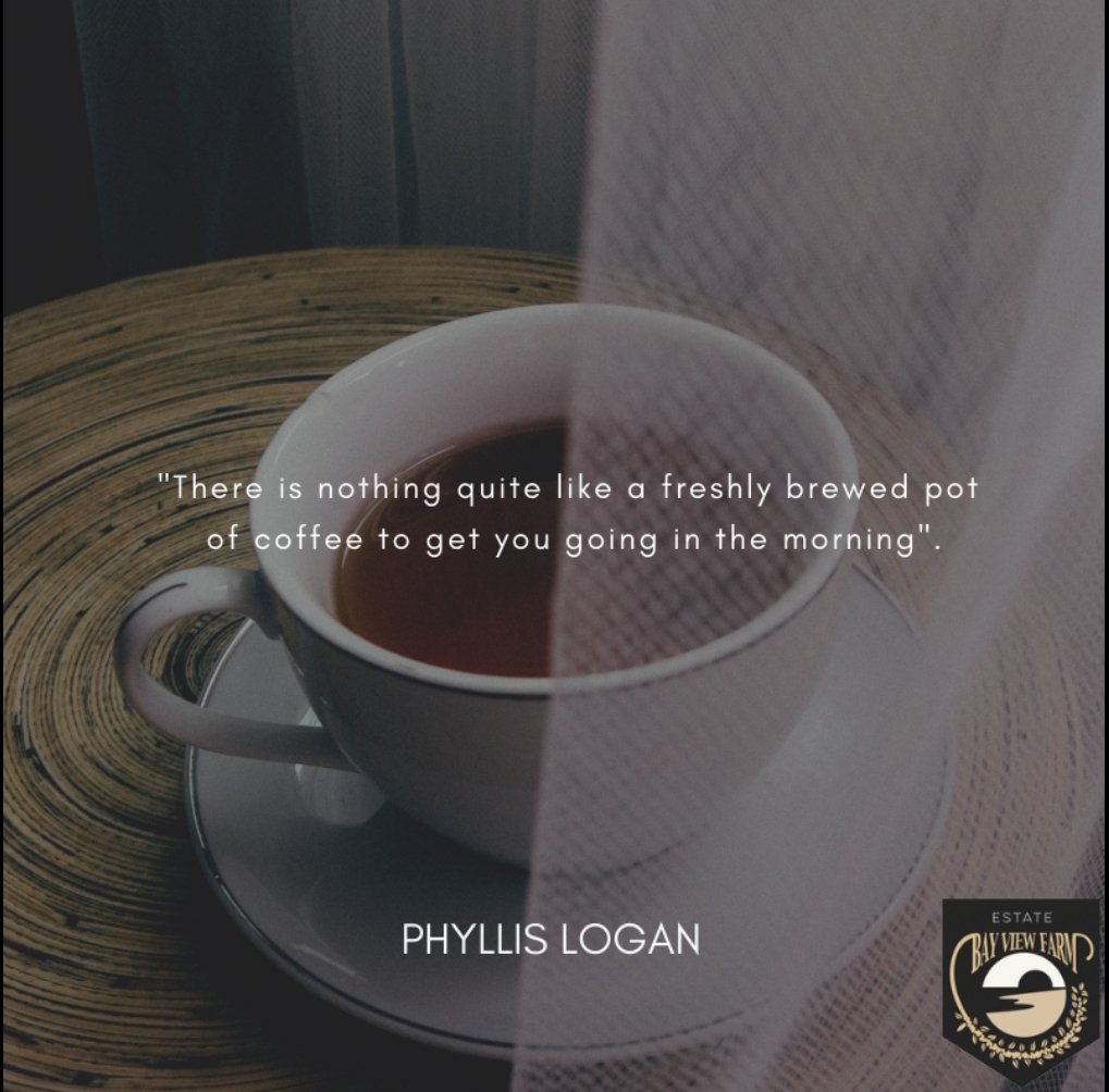BayViewCoffee's tweet photo. That feeling, that moment we enjoyed during our daily routine ☀☕⚡.

Have a nice ❤ #Wednesday!

#BayViewCoffee #coffeejunkie https://t.co/4z2ngNMhs2