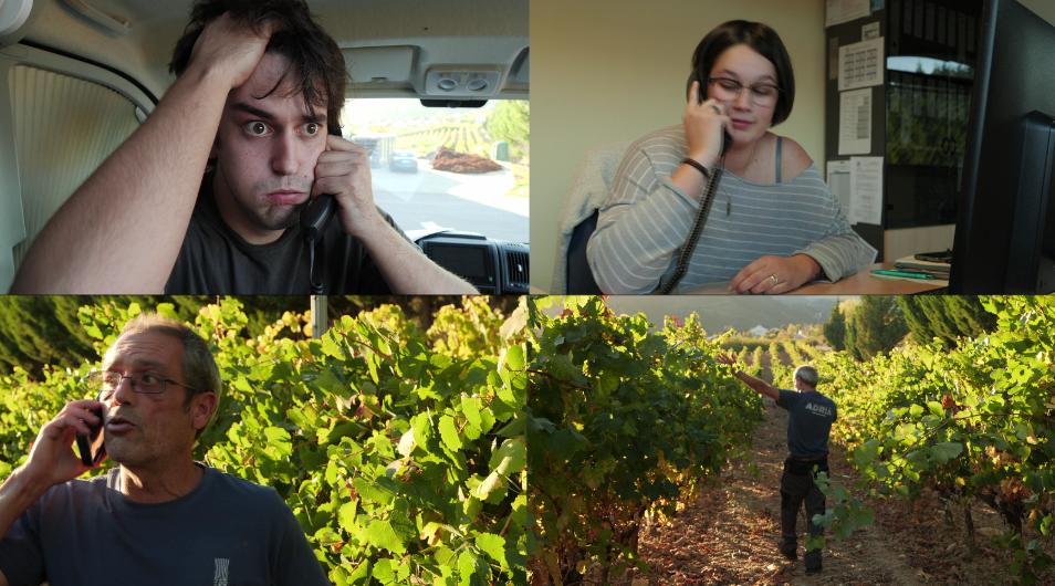 thewinevantweet's tweet photo. In Bodegas Adriá S.L. , Lilo taught me how hard harvest is... Forget seeing me near a vineyard during harvest time. Ever.
#thewinevan  #spanishwines #millennial #winelover #winetour #winetourism #friends #iger #photoftheday #harvest #stress #working #bierzo https://t.co/ilYmWARgP5