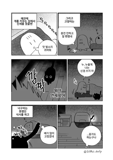 고양이 너구리??(3) 