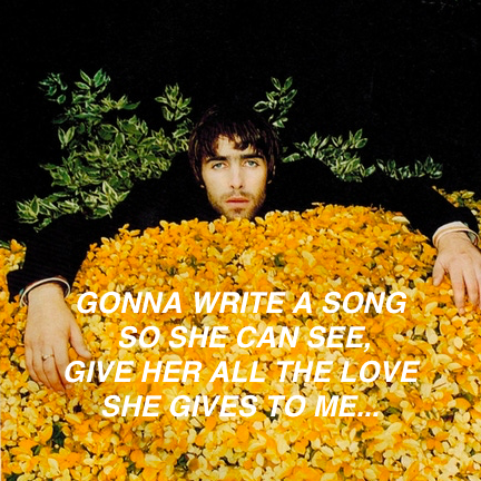 oasis's tweet photo. https://t.co/w5rVDAZjXI