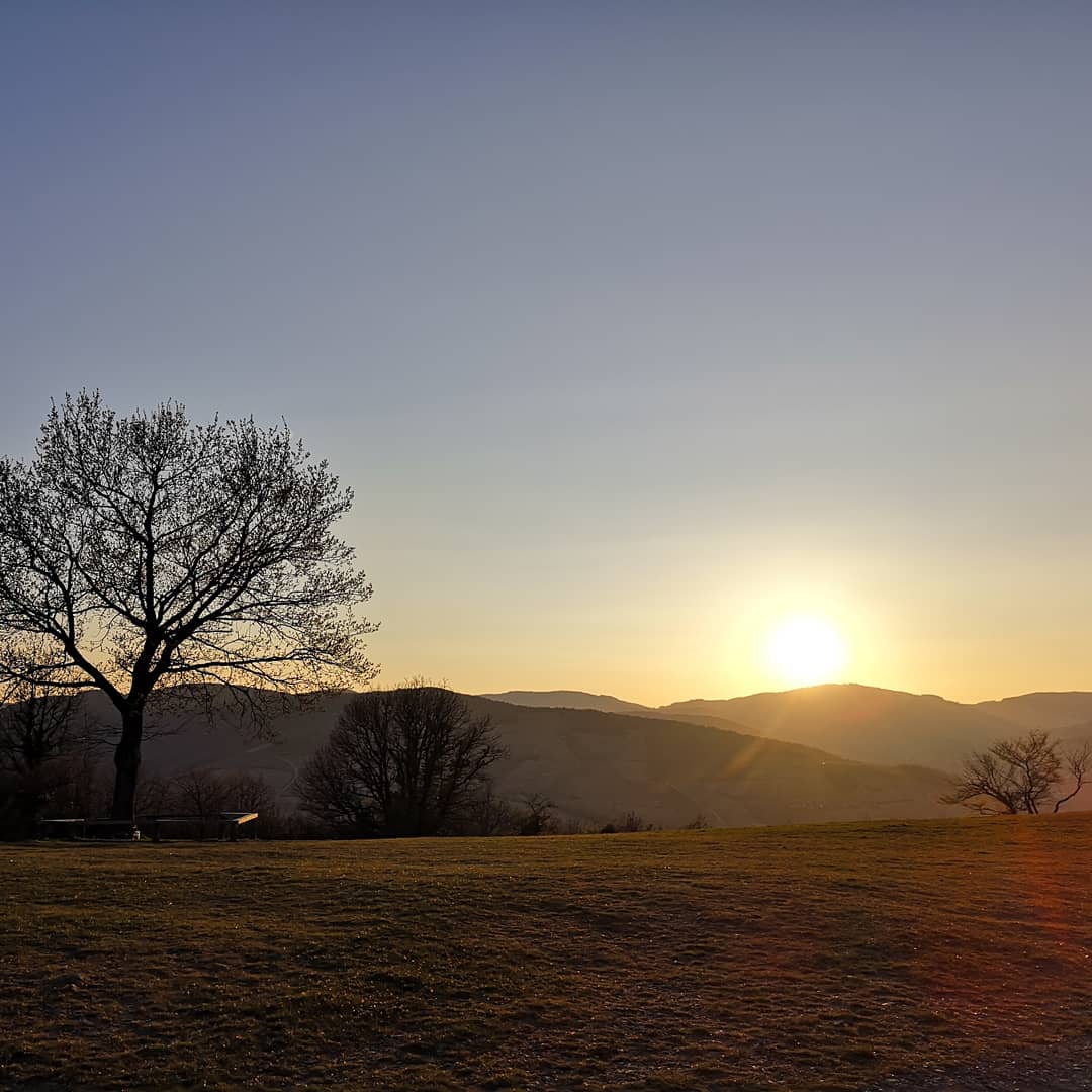 demonspey's tweet photo. Du Mont Brouilly, terre de beauté &amp; de tradition, nait depuis des siècles le #Brouilly, suave nectar de nos aïeux
Discover our Brouilly,nectar of our ancestors
#Винь #фото #вина #Landscapes #виноградарь #sunsets #winelovers #winelover #フランス語 #vins #wines #winewednesday #vino https://t.co/6N2MYwbcm1