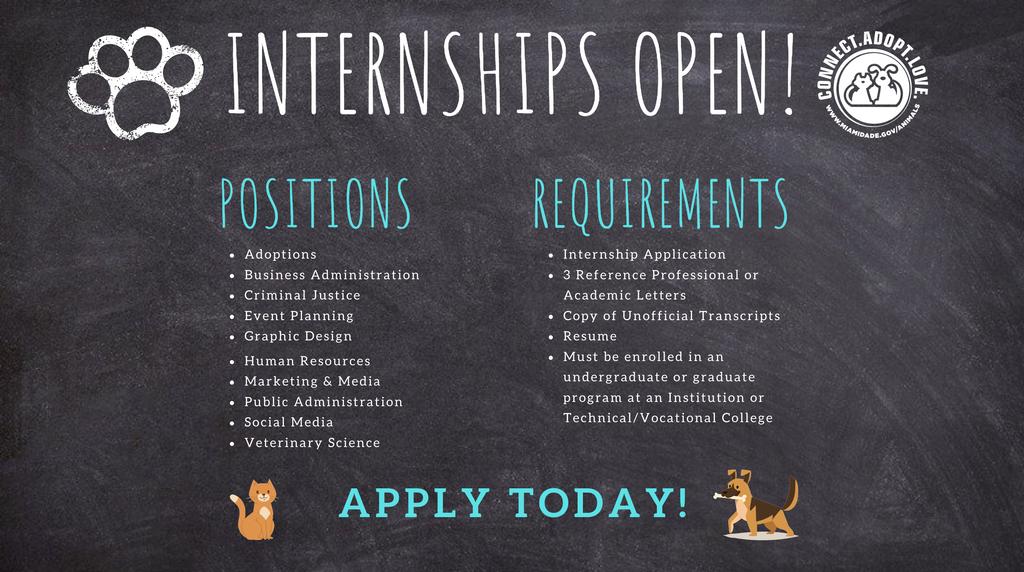 AdoptMiamiPets's tweet photo. Do you want to help us Connect, Adopt, and Love our #ASDPets? Apply to be an #ASDIntern today! We can't wait to see your application! For application details and requirements, email ASDInternship@miaidade.gov! https://t.co/KMV43RrnWp