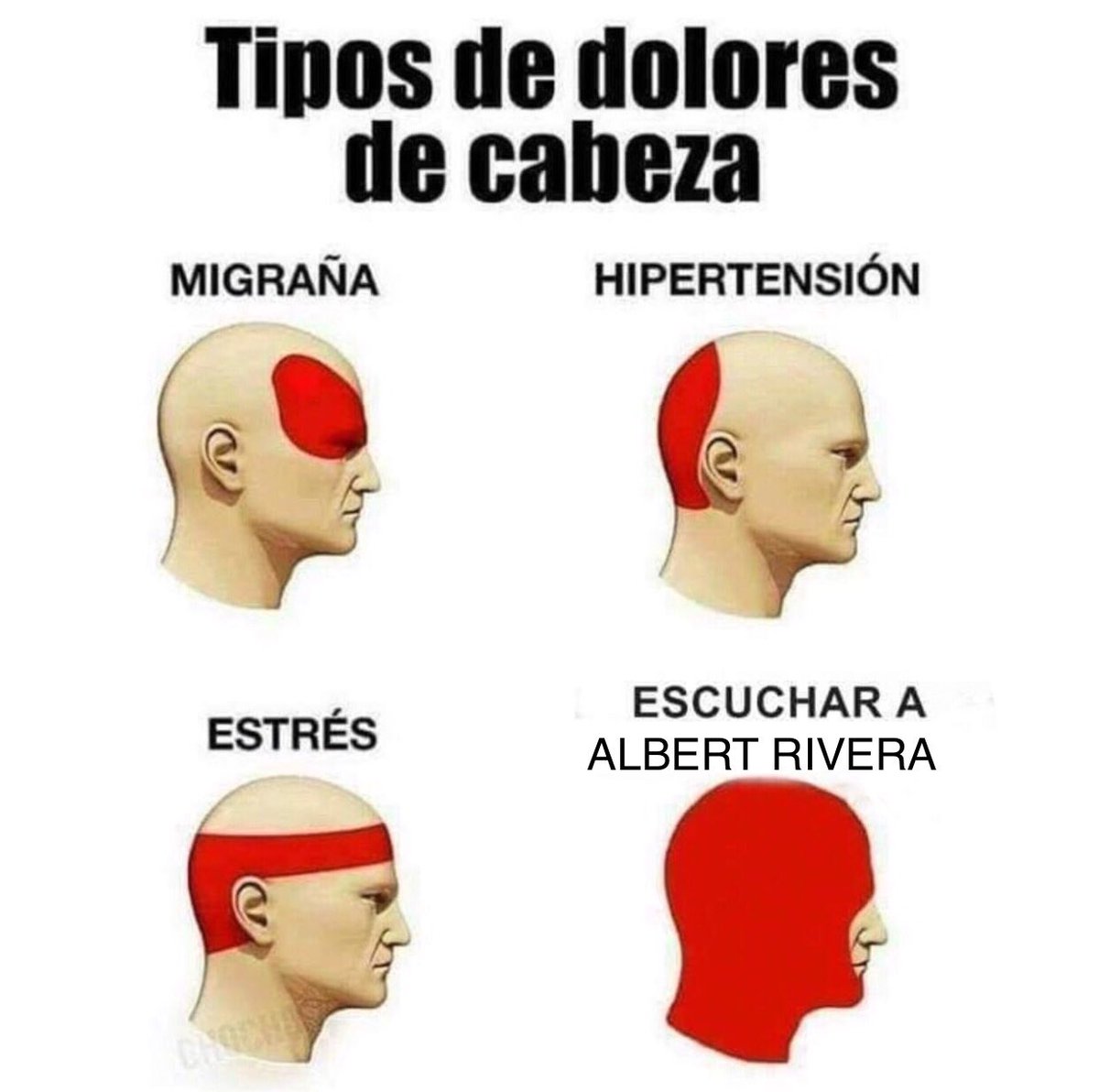ecorepublicano's tweet photo. Tipos de dolores de cabeza 😂😂 #AlbertRiveraEH https://t.co/Ym40Kwu3wU